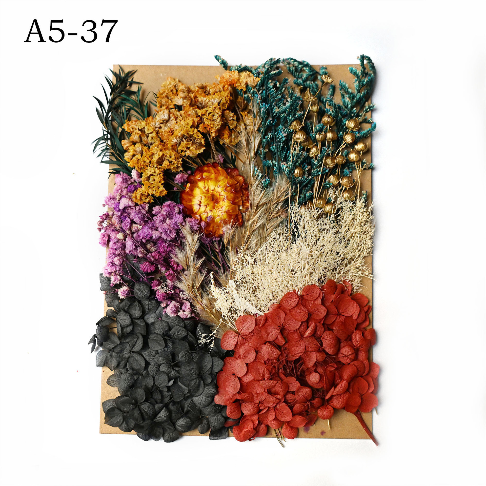 [Paquete de material de estampado A5] Flor seca flor eterna marco de fotos paquete de material de estampado DIY flor aromaterapia vela flor seca