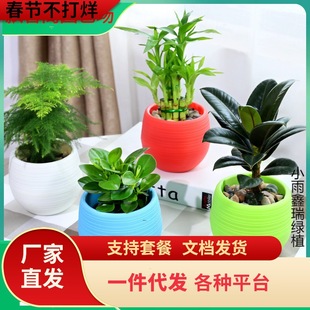 һ�����l�lؔ��d�ӻ�����G�}�J�C�k���҃ȃ����՚�Gֲ���滨��