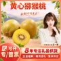 河南新鲜奇异果