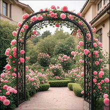 新款拱门花架爬藤架户外花园庭院装饰铁艺葡萄蔷薇月季拱形花支架