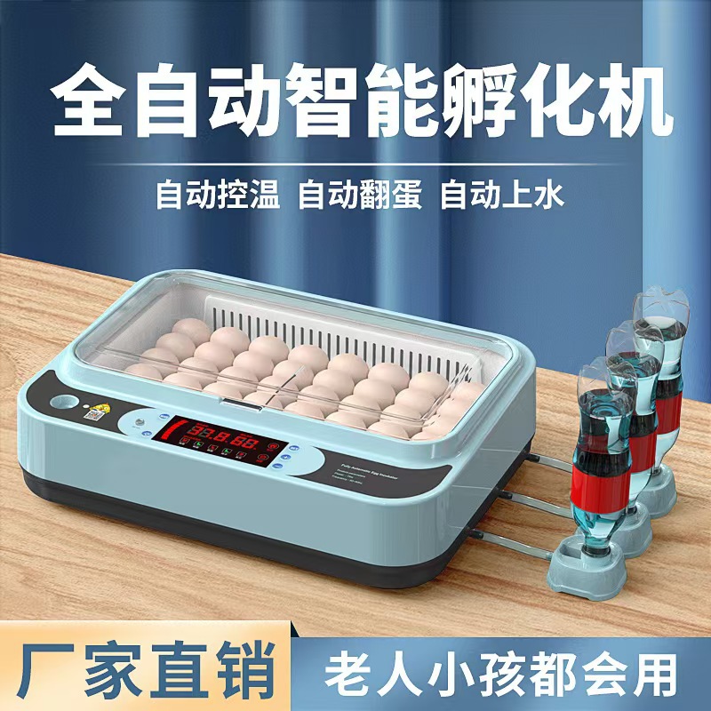 Incubadora de pollo de venta directa Incubadora doméstica pequeña Incubadora doméstica inteligente automática Caja de incubación de pollo