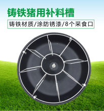 �T�F���P����i�a�ϲ� �i���T�Fʳ�� ���i�ϲ� ���a�ϲ� �i���ϲ�