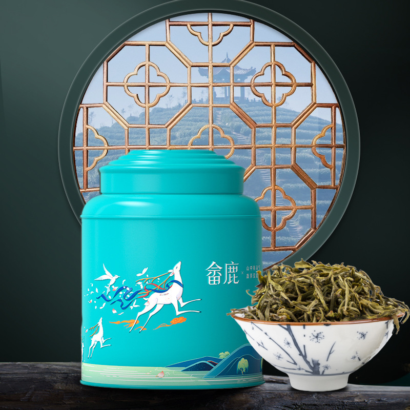 Zijiu Pingyang Huang Tang Wenzhou Huang Tang She Lu Canned 135g Yellow Tea Tea Leaves Gift Box 2024 New Tea