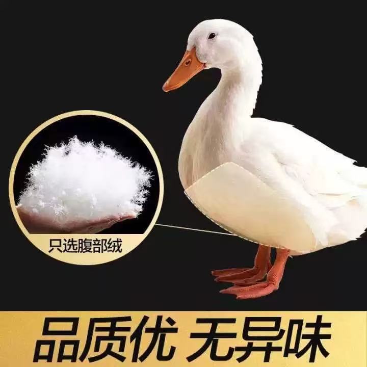 New National Standard 90 White Duck down Wholesale down Jacket Filled with Cotton 90 White Duck down Quilt Filled with Washed 90 White Duck down