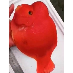 ؔ���W�^�~���w�Ꭷ�^�p�~���^Ԫ��ؔ���~�߶˱��^��ˮ�~���~���~