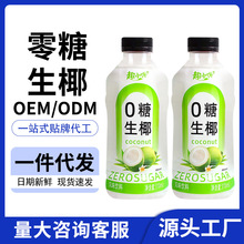 零糖生椰风味饮料310ml小瓶装椰子汁椰奶果味饮品清甜整箱批发夏