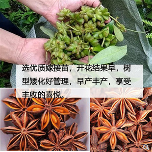 �V���_�RƷ�N�߮a�˽���޽����ٿh�������ڰ˽ǘ��籭�簫���|�s