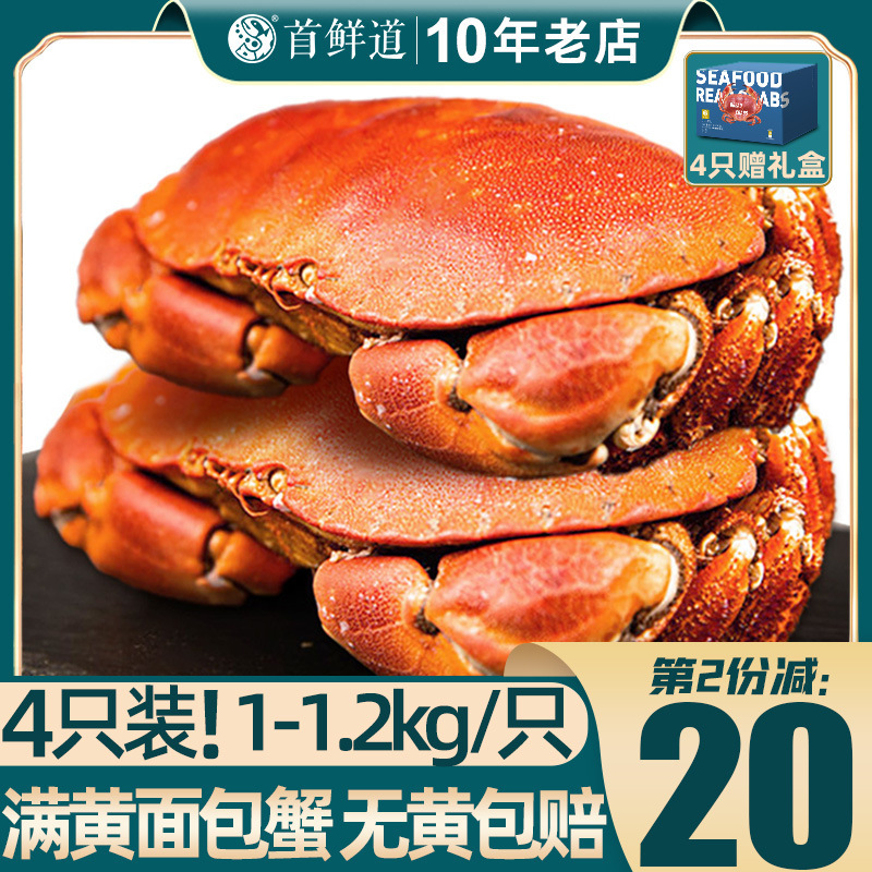 爱尔兰面包蟹新鲜活鲜熟冻母蟹帝王蟹海鲜水产超大螃蟹黄金蟹珍宝