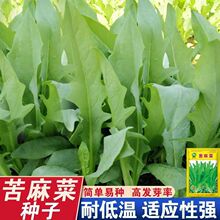 ߮ao˷N͸ߜҰ˿ļ߲˷N