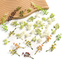 仿真植物水草 野桑果含羞果 婚庆胸花手捧花装饰 配件材料假叶子