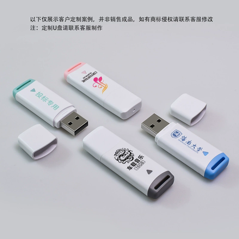 Маленький USB-флэш-накопитель, легкое хранение, 4G, 2 ГБ, 1 ГБ, индивидуальная настройка