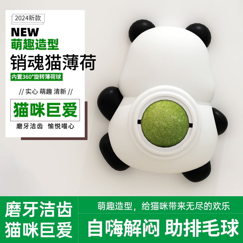 팬더 모델