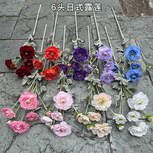 �¿����¶ɏ���S��6�^��ʽ¶ɏ��ɫ��ĵ����Yܛ�b�Ҿ��bٻ�