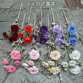 新款仿真露莲花厂家6头日式露莲粉色洋牡丹婚礼软装家居装饰假花