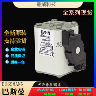 Bassman 170 M4 965 170 M4 966 170 M4967 brand direct supply factory price high-speed fuse