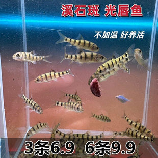 �t��Ϫʯ���~ �ⴽ�~ ���B��ˮ�~ԭ���~С�͐�Ⱥ�������m���B