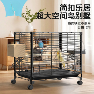 �M�z�W�^�B�\݆�ӳ����B�\�����P��Ƥĵ�����B���Ͱ��]���l