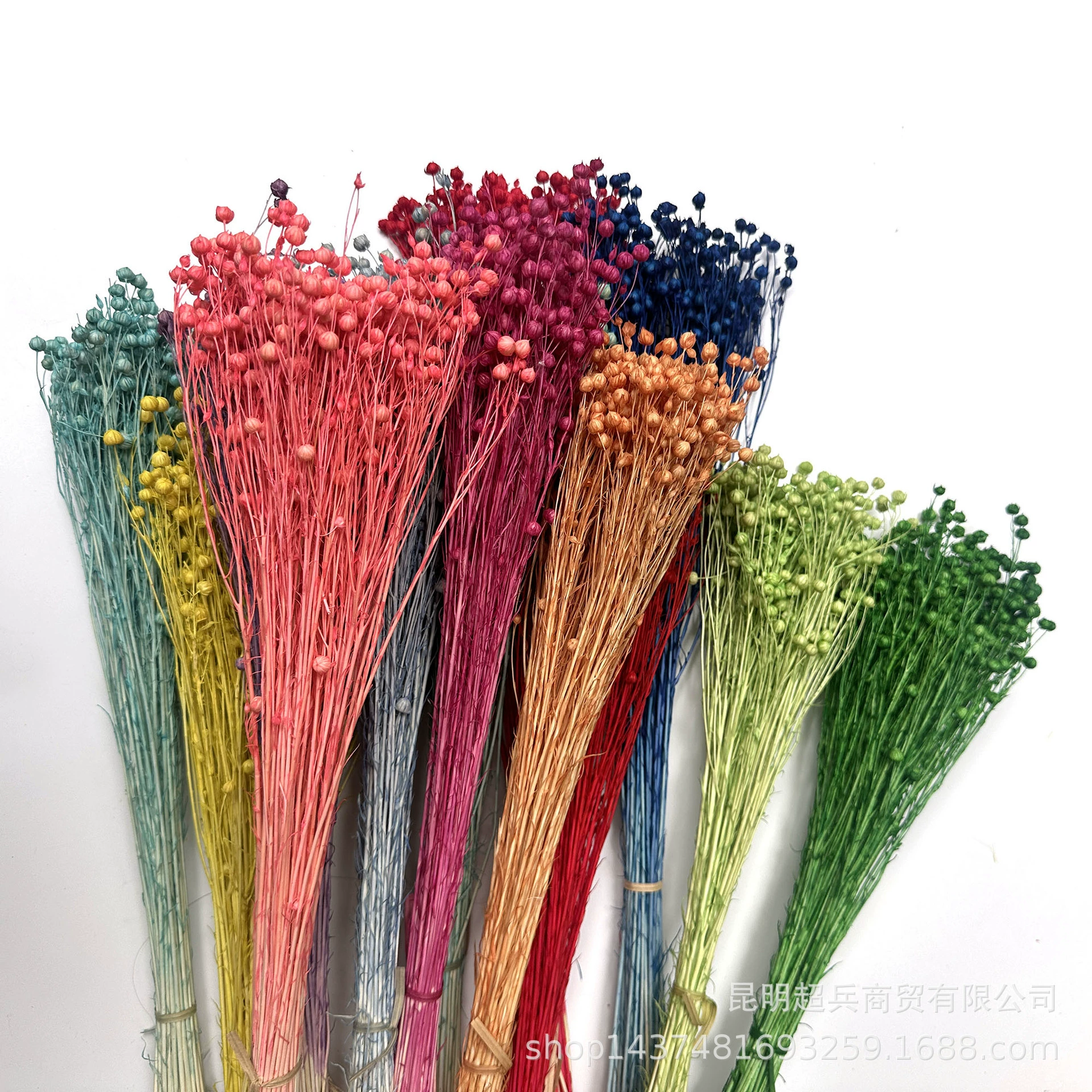 【Eternal Flower Acacia Bean】Yunnan Craft Gift Materials Dried Flower Fugui Beans (Fugui Beans) Shiba Beans