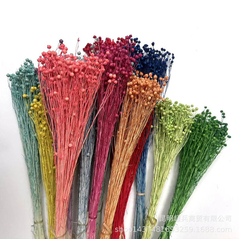 【Eternal Flower Acacia Bean】Yunnan Craft Gift Materials Dried Flower Fugui Beans (Fugui Beans) Shiba Beans