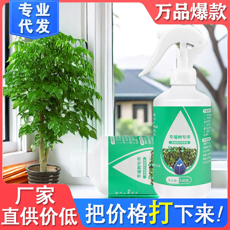 幸福树专用肥料营养液幸福树叶子干枯落叶掉叶急救植物通用活力素