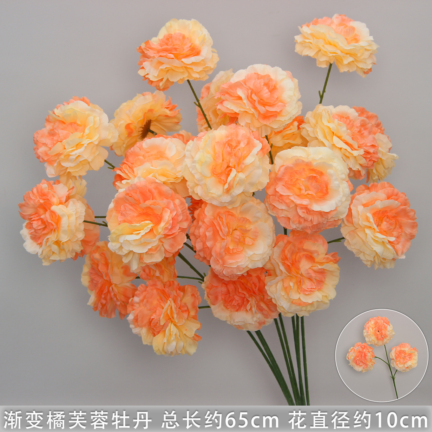 渐变橘色芙蓉牡丹/支
