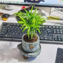 ɢβҬļB҃ȾGֲkС辰