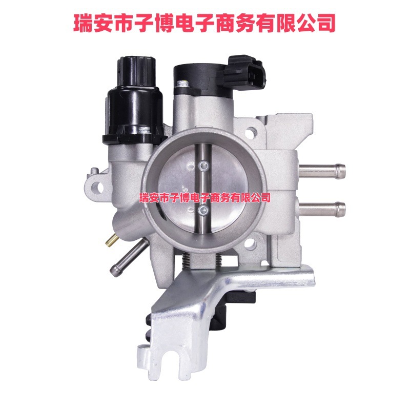 22210-Bz111 Tb-0172 Th-004 Suitable for Toyota Throttle Assembly