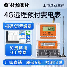 单相智能电表预付费4G远程手机缴费物业出租房家用220V赠抄表系统