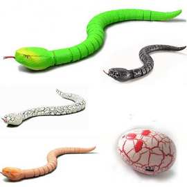 电动整蛊遥控响尾蛇 仿真动物模型玩具蛇逗猫宠物新奇特跨境玩具