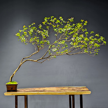 ��Ʒ���u��������Gֲ�҃��b��쾰��ؔ[�����sֲ����ʽ���Ҿ��^