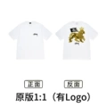 Xb2104 white