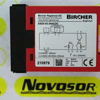 BIRCHER 211838 ESR25-24VACDC GB
