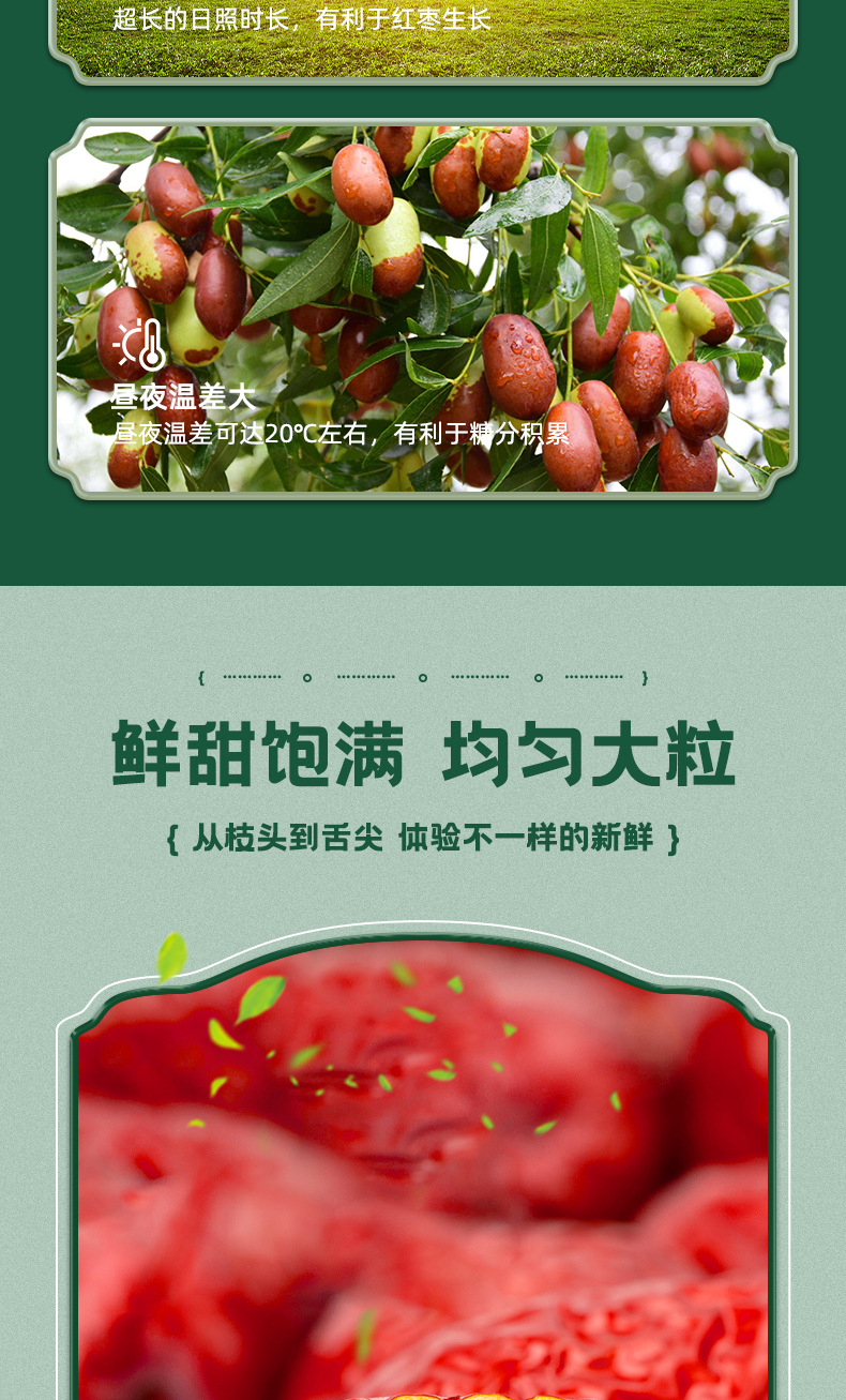 红枣详情_04.jpg
