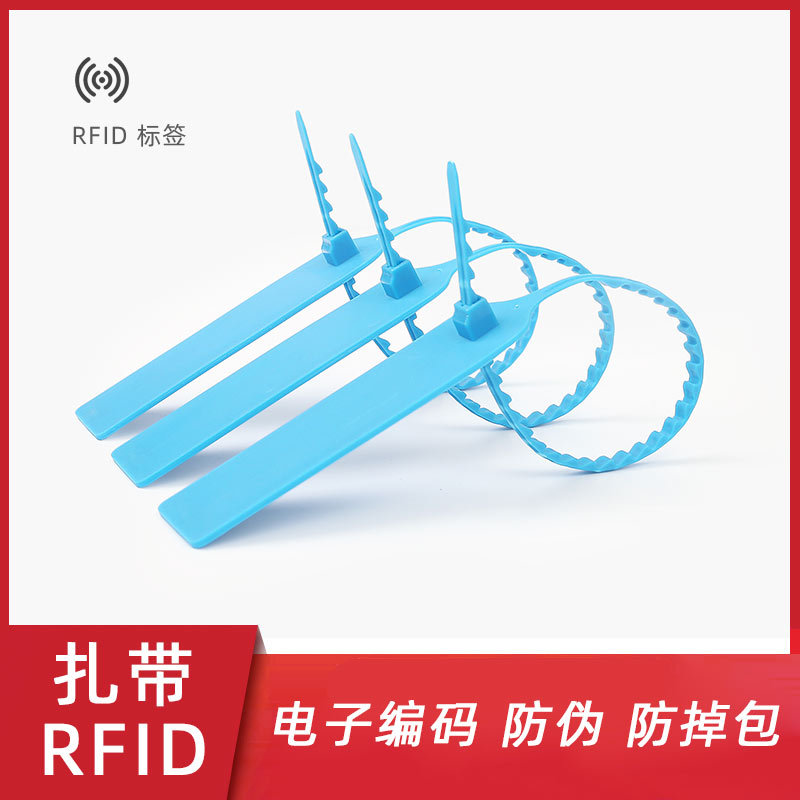 自锁式仓储物流防盗一次性塑料uhf超高频rfid扎带电子标签