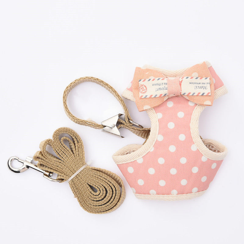 핑크 도트 (한국) --- 장인 정신으로 엄선