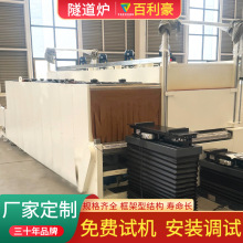 噴塗固化隧道爐 工件噴塗固化烘干隧道爐 固化隧道爐烘干線壽命長