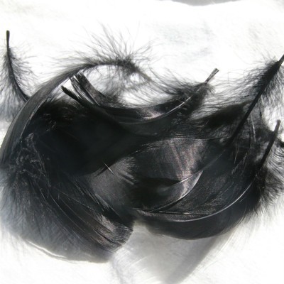 블랙 (100 루트 배치)