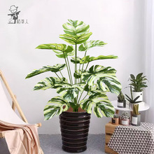 ���R�d�������Gֲ��������羳���l�쾰�Ҿ��b����ֲ������