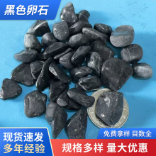 厂家造景石铺路铺地黑色卵石大块庭院水磨石路面水洗石黏胶石石子