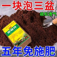 ����Ҭ�u�N�˴�Kͨ����Ү�u���B��Ó�}�����Nֲ���I�B������Ҭ��