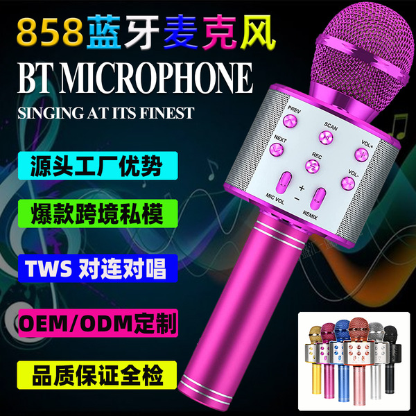 Handheld wireless microphone