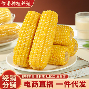 ���r�SŴ����ܛŴ����F�ɬF�l�w��M��ʹ���������׏S�����l