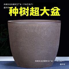 粗陶紫砂花盆大口径兰花君子兰种树阳台盆景简约陶瓷花盆其他无