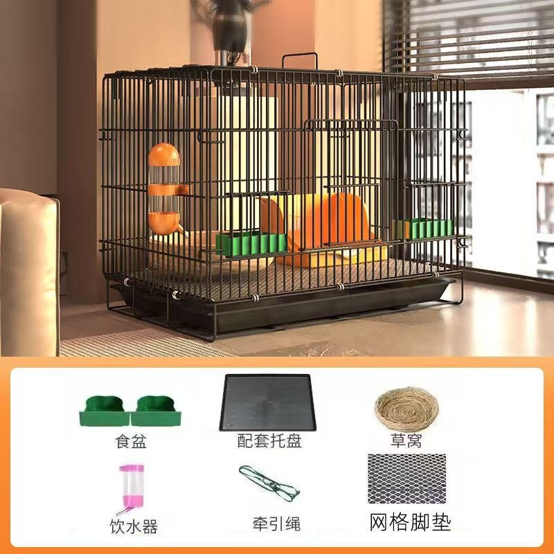 965fef00-4ef6-4a45-b61a-45243742d25a.jpe