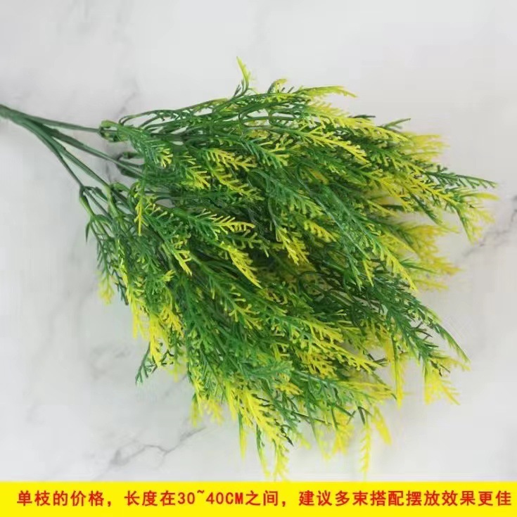 微信图片_20220923103809