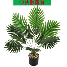 �羳����Gֲ�ٻ�ɢβ���͏d�����k�����b��⻨�@�쾰�b[��