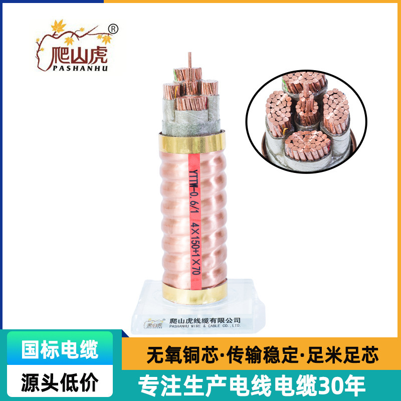 National Standard Oxygen-Free Copper Fire-Resistant Cable Yttw Flexible Mineral-Insulated Magnesium Oxide Manufacturer In-Stock for Fire Protection Building Use