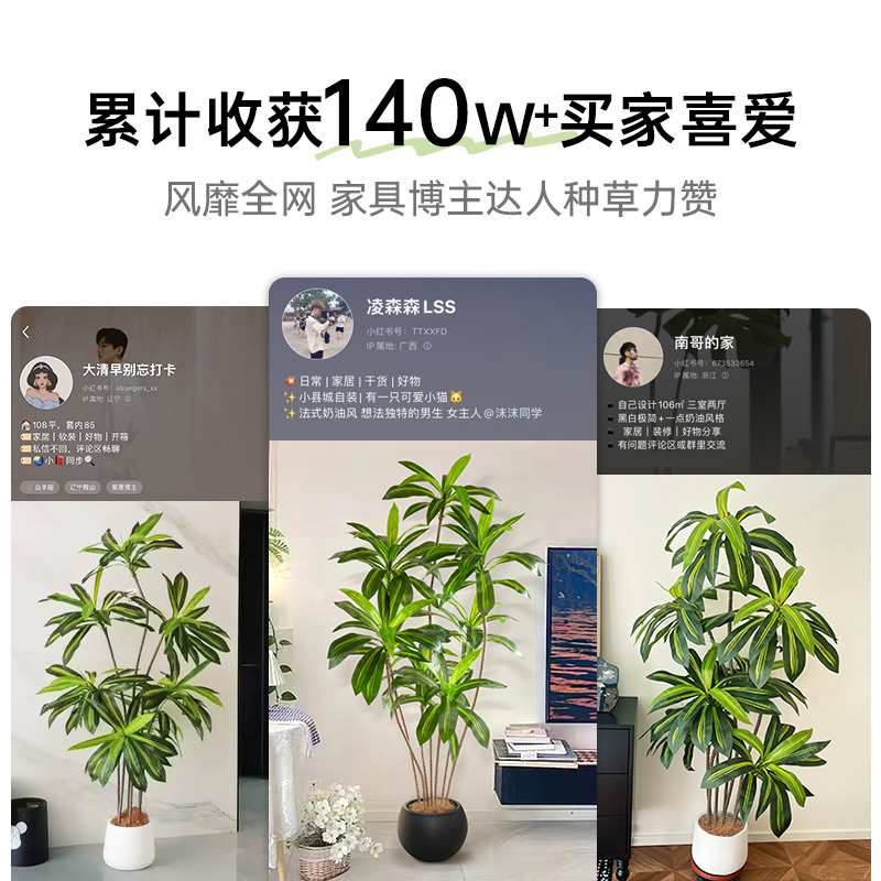 模擬ブラジルの木と緑の植物、ハイエンドの軽い高級屋内リビングルームの装飾装飾品、偽の植物鉢植え造園、偽のブラジルの木|undefined