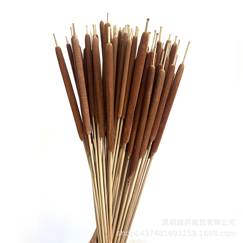 [Pu Stick] Pearl Reed Stick Fragrant Reed Stick Water Candle Cross Mirror E-Commerce Dried Flower Supply Wool Candle Dried Flower Bouquet
