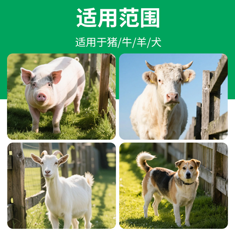 Analizador de calidad de esperma veterinario Sistema de detección de esperma perro Equipo de cría de vacas y ovejas Densitómetro de semen de jañones